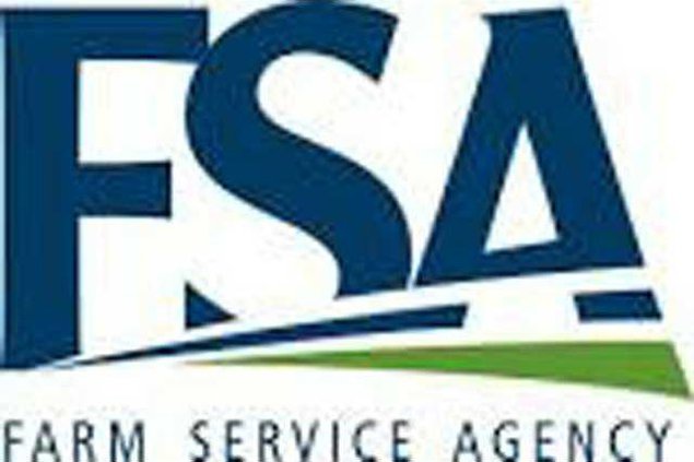 FSA logo w sm
