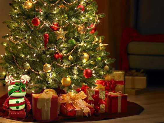 2011-Winter-Christmas-Tree1