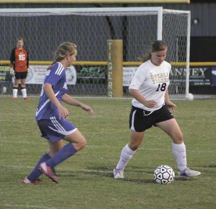 01sports ltigers