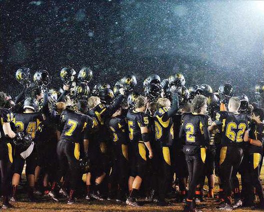 03sports tigers TE