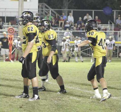 10sports tigers