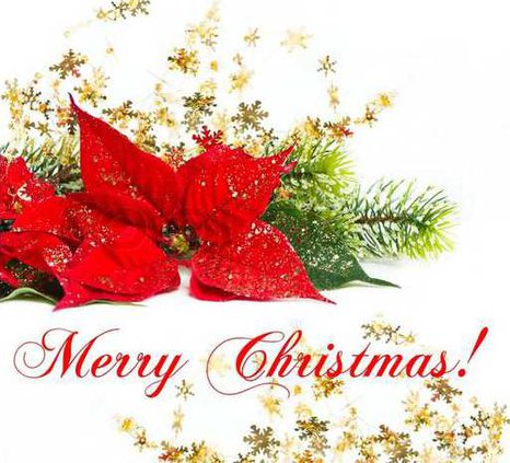 2578038-christmas-flower-with-golden-decoration