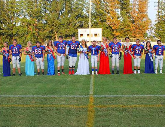 DMS queen court W