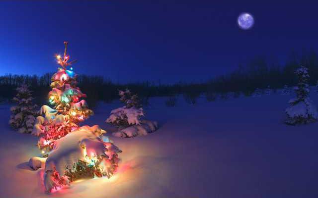 christmas-tree-lights-snow-wallpaper-2