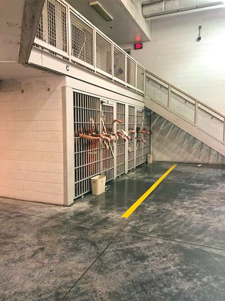 jail overcrowding2.jpg