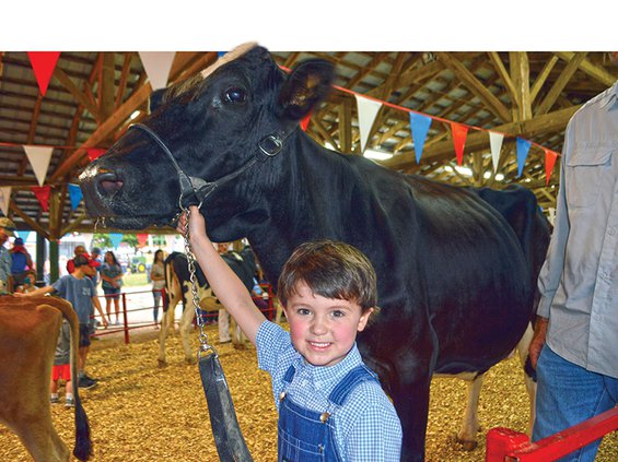 Fair-Black Cow & kid.jpg